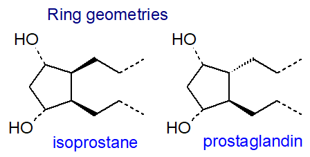 Relative geometries of isoprostanes and prostaglandins