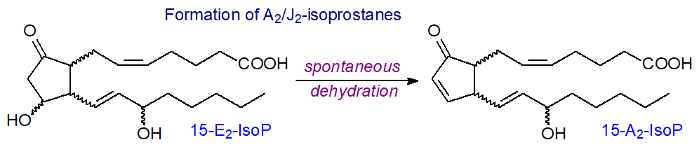 Formation of 15A2-isoprostane