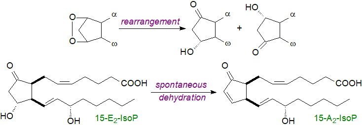 Formation of 15A2-isoprostane