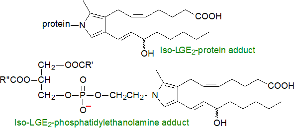 Products of isoprostane catabolism