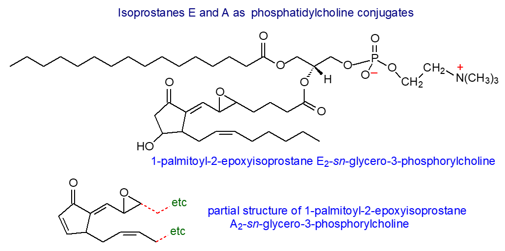 Formula of 1-palmitoyl-2-epoxyisoprostane E2- and A2-sn-glycero-3-phosphorylcholine