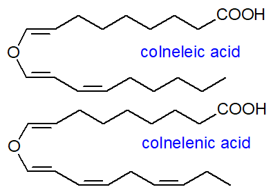 Formulae of colneleic and colnelenic acids