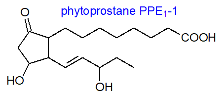 Formula of a phytoprostane