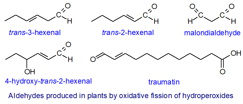 Some aldehydes produced by oxidative fission in plants