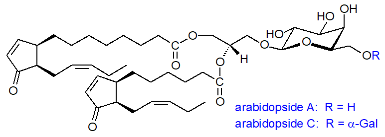 Formulae for arabidopsides A and C