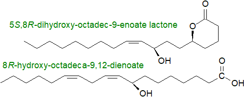 S8: Some fungal oxylipins Fungal oxylipins