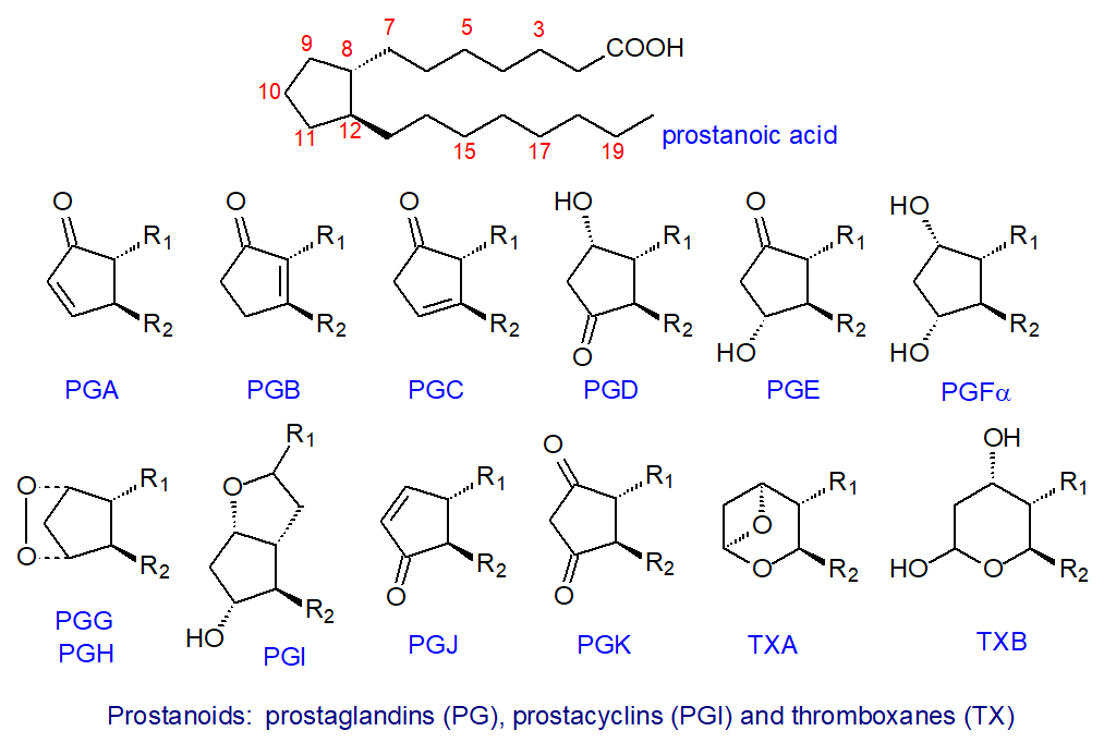 Structural formulae of prosanoids