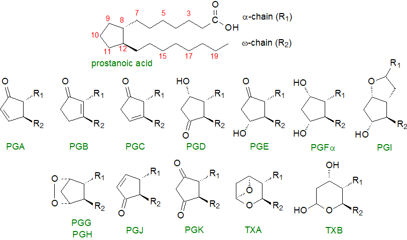 Structural formulae of prosanoids