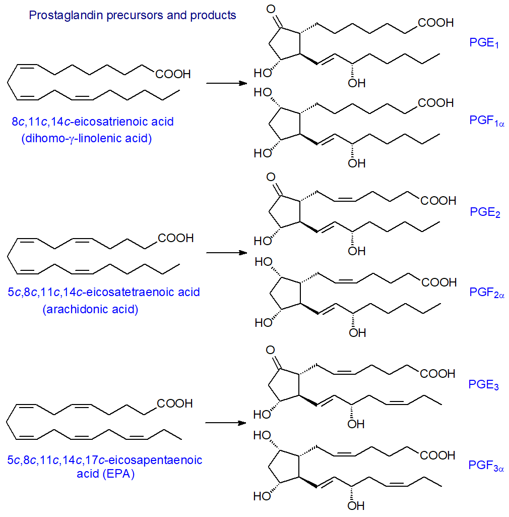 Prostaglandin precursors and products