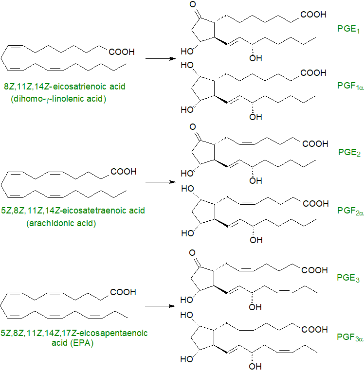 Prostaglandin precursors and products