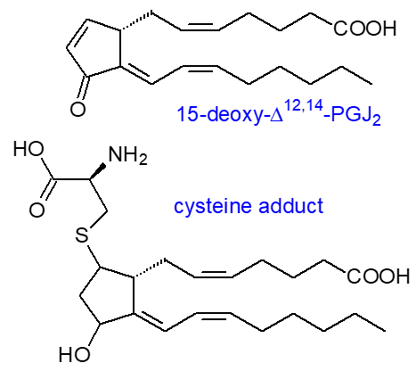 Structural formula for 15-deoxy-PGJ2 and cysteine adduct