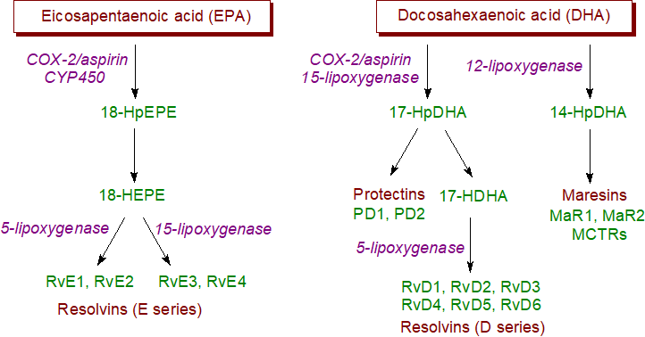 Structure of SPMs