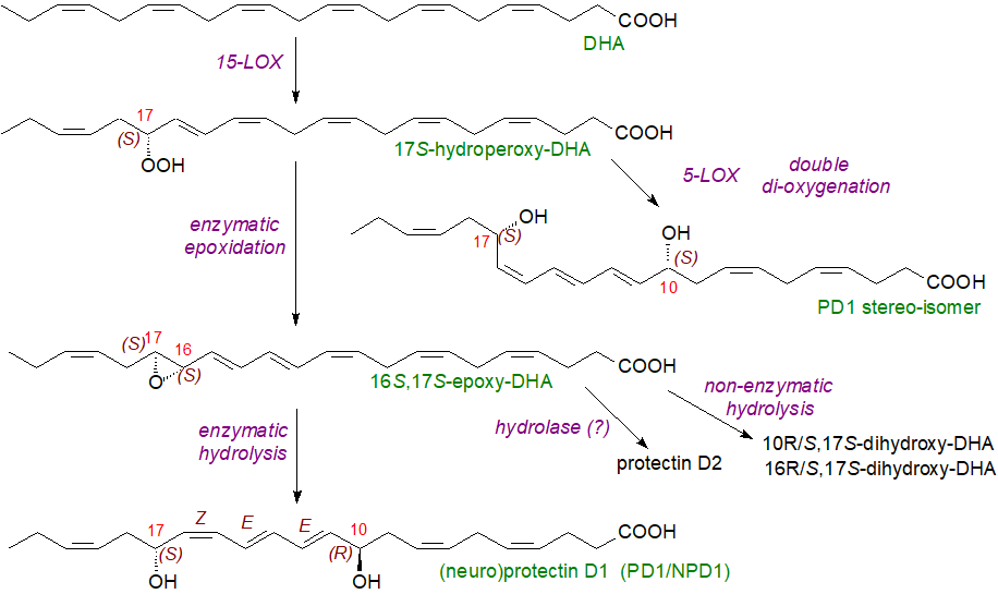 Summary of biosynthesis of SPMs