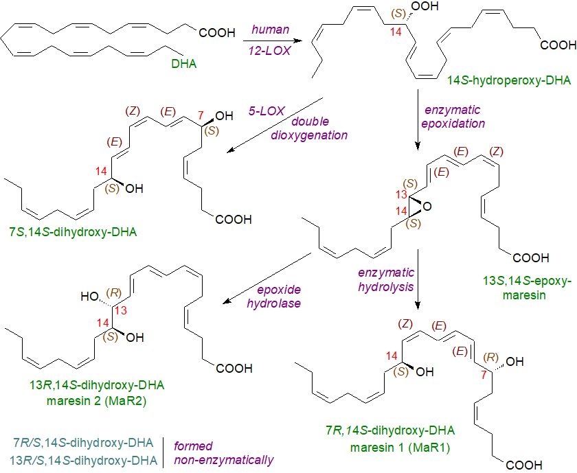 Formulae of elovanoids