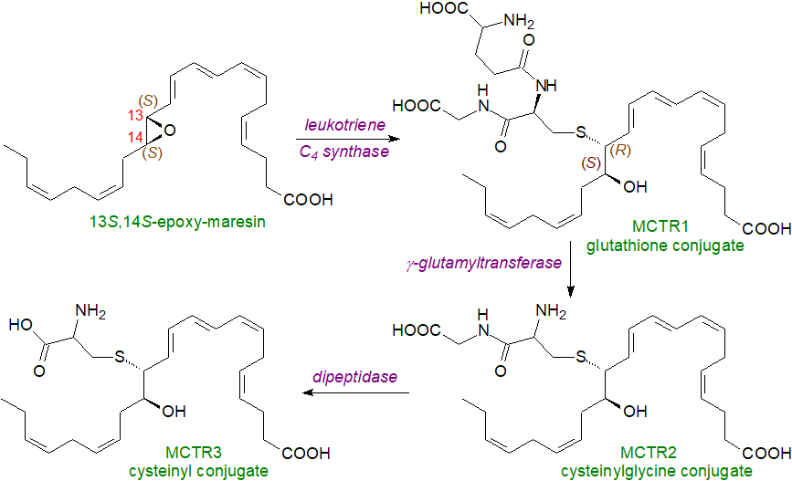 Structure of aspirin-triggered protectin D1