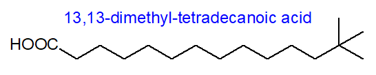 Structural formula of 13,13-dimethyl-tetradecanoic acid