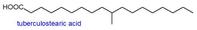 Structural formula of tuberculostearic acid