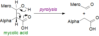 Enzymatic introduction of a methyl branch into an unsaturated fatty acid