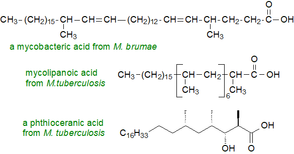 Structures of other types of branched chain acids from Mycobacteria