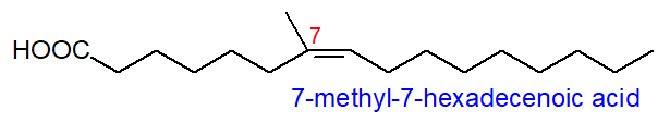 Formula of 7-methyl-7-hexadecenoic acid