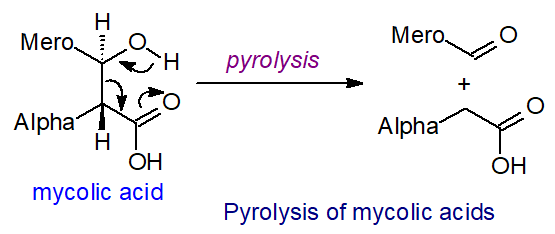 Degradation of mycolic acids by pyrolysis