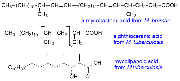 Formulae for mycobacteric and phthioceranic acids