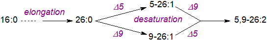 Formula of alpha-eleostearic acid