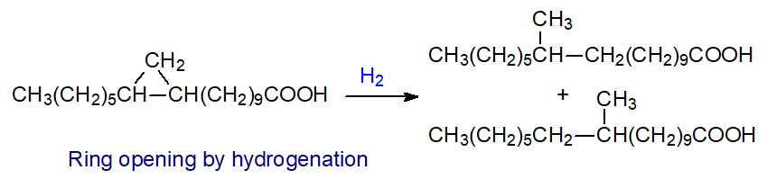 Hydrogenation of a cyclopropane ring