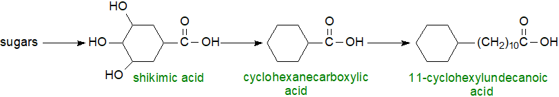 Biosynthesis of cyclopropyl fatty acids