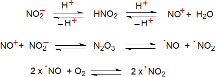 Structural formulae for the 9- and 10-nitro-9-cis-octadecenoic acids