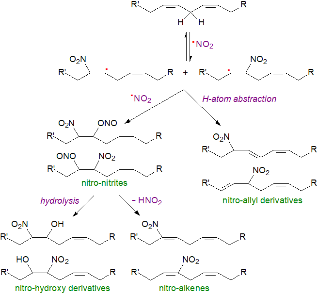 Nitration products of conjugated linoleic acid (CLA)