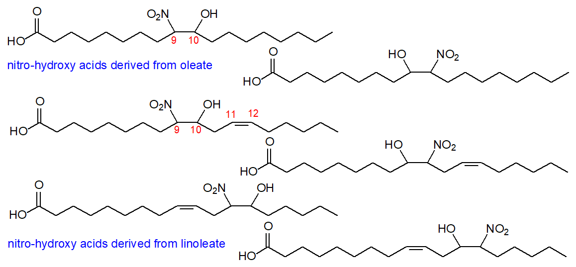 Structural formulae for the nitrohydroxy derivatives of oleate and linoleate