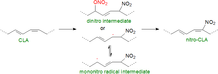 Structural formulae for the nitrohydroxy derivatives of oleate and linoleate