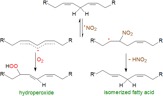 Structural formulae for nitro-allyl fatty acids