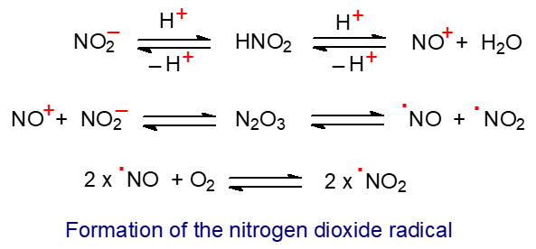 Formation of the nitrogen dioxide radical