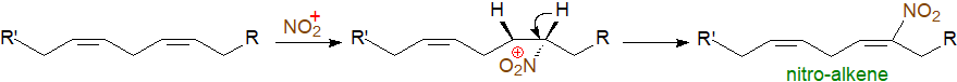 Formation of the nitrogen dioxide radical