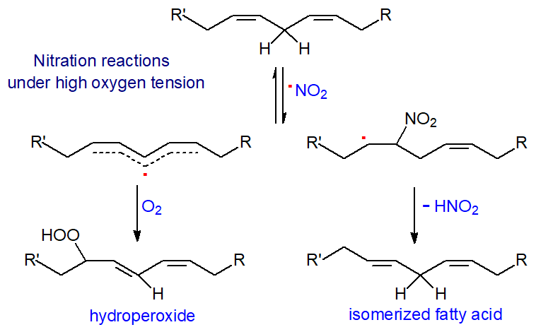 Nitration reactions under high oxygen tension