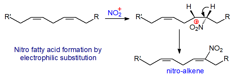 Nitro fatty acid formation by electrophilic substitution at the double bond