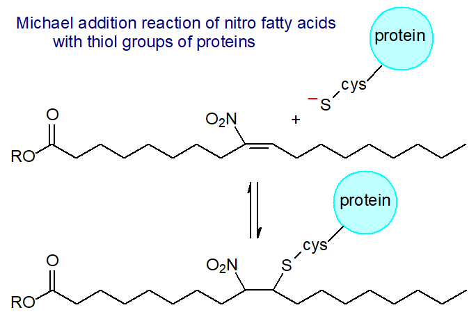 Michael addition reaction of nitrofatty acids