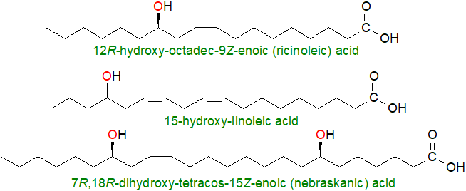 Main omega fatty acid lactone from horse sebum