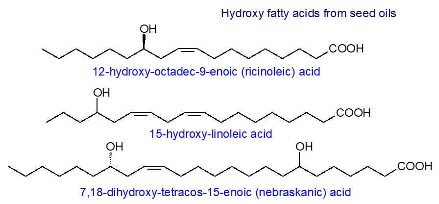 Fatty Acids: Hydroxy, furanoid, epoxy, keto and other oxygenated -  composition and biochemistry