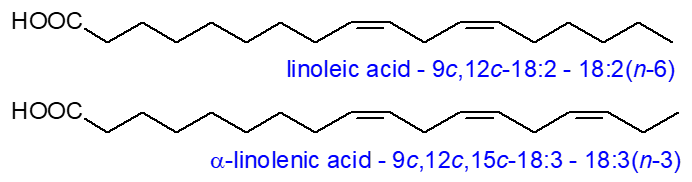 Structural formulae of linoleic and linolenic acids