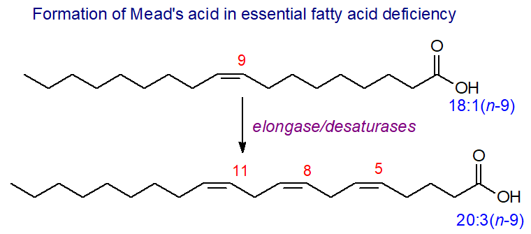 Biosynthesis of Mead's acid in EFA deficiency