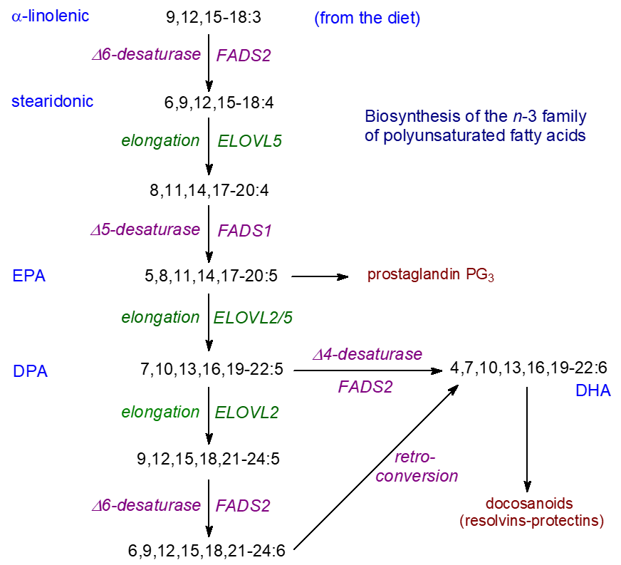 Biosynthesis of the n-3 family of polyunsaturated fatty acids