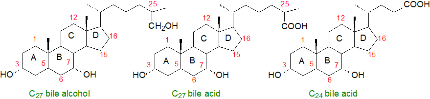 cholic acid