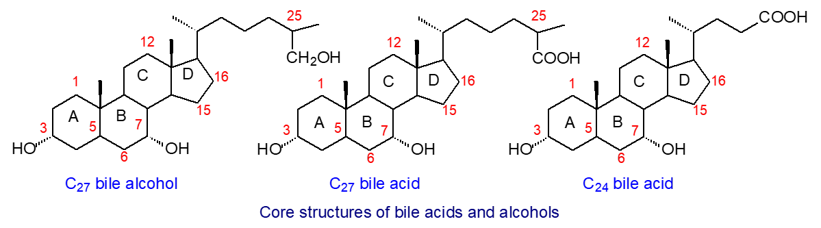 Structural formulae for typical bile acids and alcohols
