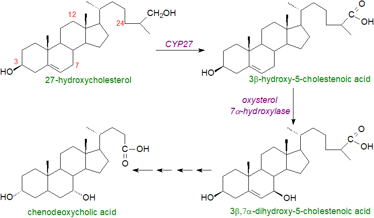 taurocholic acid formula