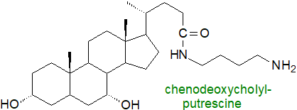 Formula of chenodeoxycholyl-putrescine