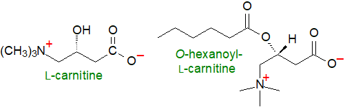 S1: Structural formulae for carnitine and acylcarnitines Structural formulae for carnitine and acylcarnitines