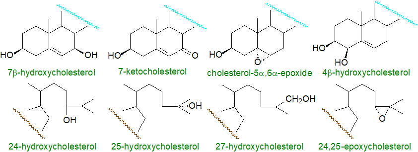 Structural formulae of oxysterols